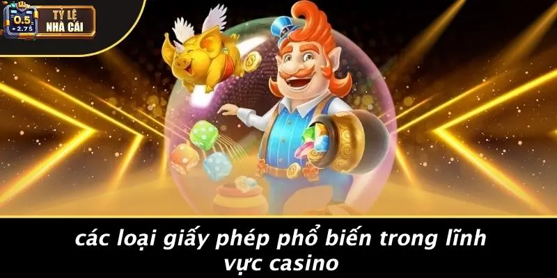 Các Loại Giấy Phép Phổ Biến Trong Lĩnh Vực Casino