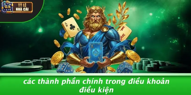 Các Thành Phần Chính Trong Điều Khoản Điều Kiện