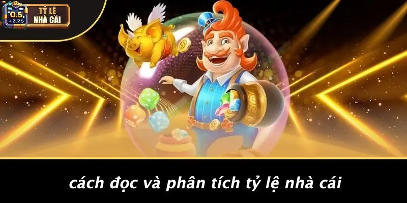 Cách Đọc Và Phân Tích Tỷ Lệ Nhà Cái