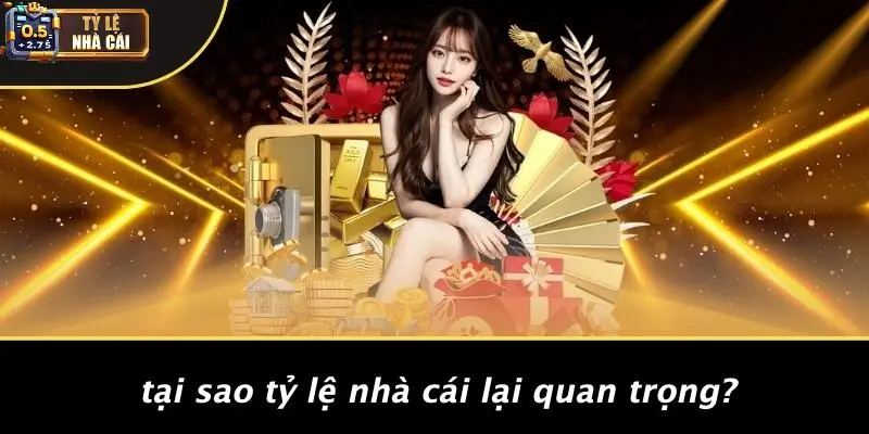 Tại Sao Tỷ Lệ Nhà Cái Lại Quan Trọng?