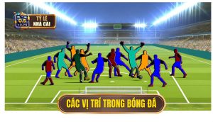 Các vị trí trong bóng đá