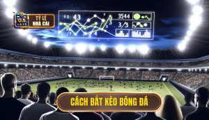 Cách bắt kèo bóng đá