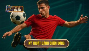Kỹ thuật đánh chặn bóng